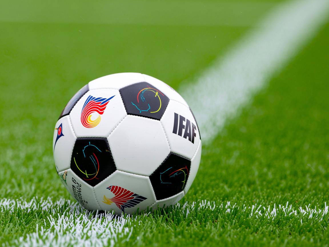 爱游戏体育官网-“跑出速度与激情!SHO-CHAN Run 2025吸引全球目光” 第3张